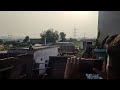 एडिटिंग करते समय बंदर आ गए । 😱 😂 #lifestyle #trending #vlog #funny #entertainment