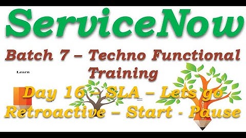 Batch 7 || Day 16 || SLA - Retroactive Start & Pause || Techno Functional Training || English