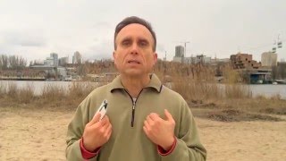 Как вести EQ Дневник. Самоконтроль личной адекватности. Как вести EQ Дневник. Самоконтроль личной адекватности.