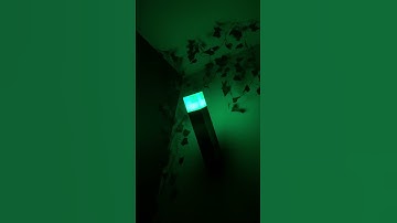 🥹 #minecraft #torch #lamp