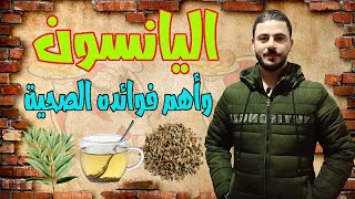 فوائد اليانسون وطرق استخدامه واضراره الصحية | وأهم فوائد اليانسون الصحية  | فوائد اليانسون للرجال |