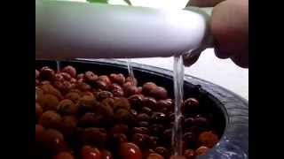 H2Oring Top Feed Flow System 8