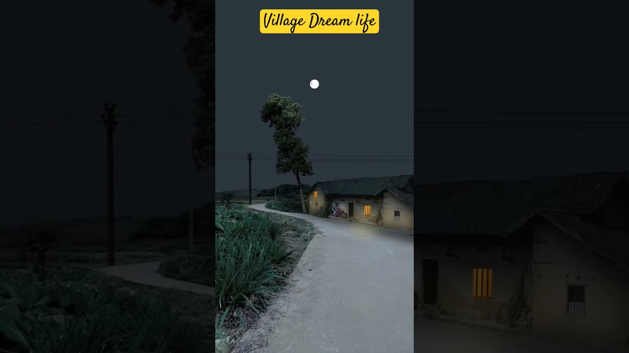 Village dream Life 