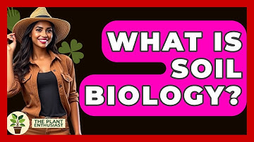 What Is Soil Biology? - The Plant Enthusiast