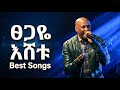 ፀጋዬ እሸቱ ምርጥ ዘፈኖች Tsegaye Eshetu Best Songs Old Ethiopian Music Mix By EthioWave