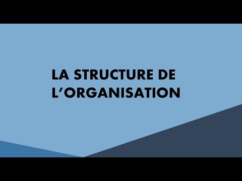 Vidéo: Comment Structurer Une Organisation