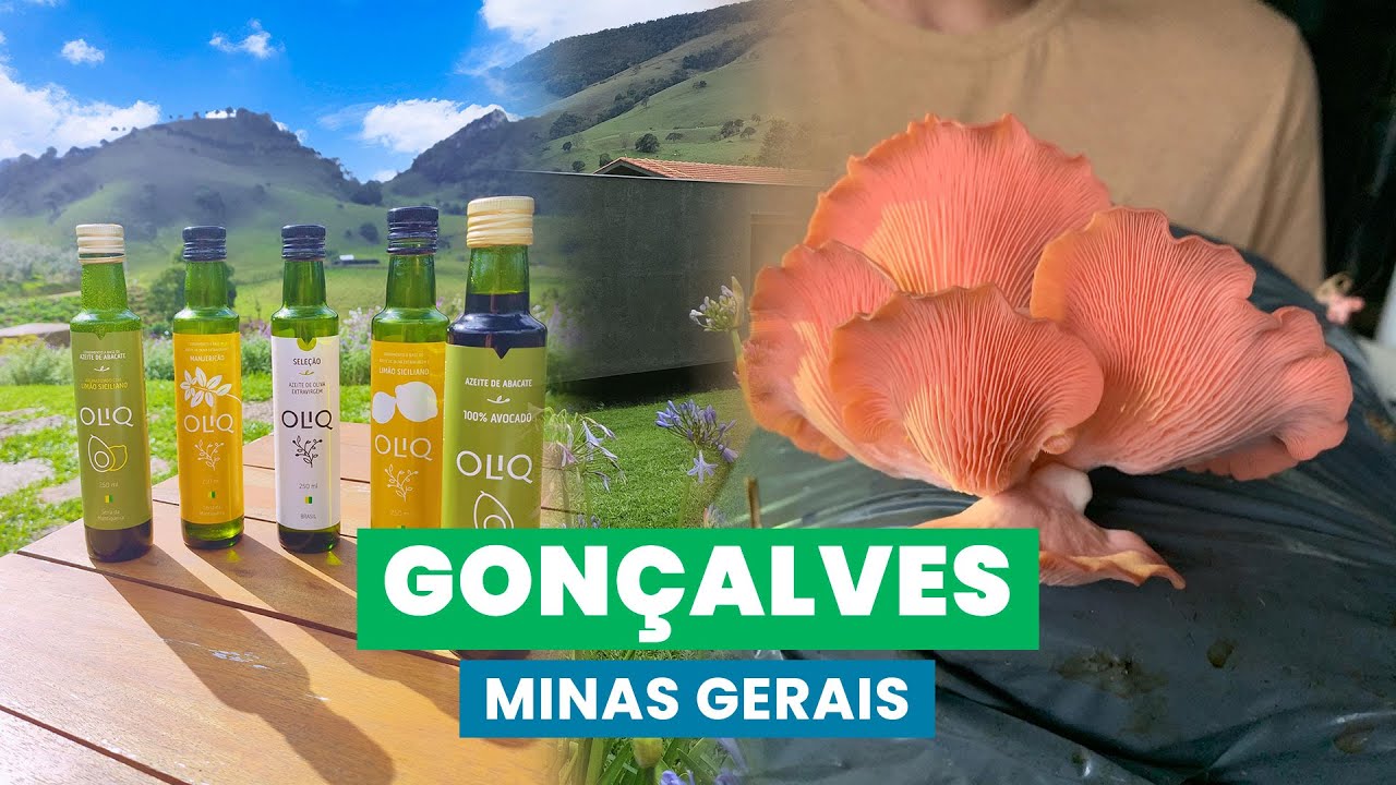 AZEITE e COGUMELOS, 2 lugares INCRÍVEIS na Serra da Mantiqueira | GONÇALVES | EP.1 | GIRO BRASIL