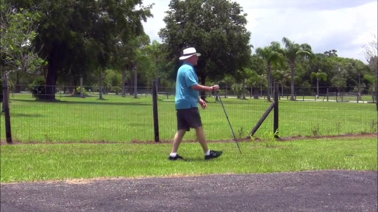 40 Walking Sticks YouTube