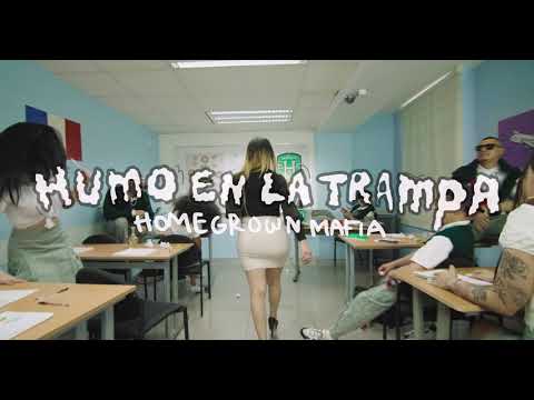 Ricardo Dominguez Alemaniacomx