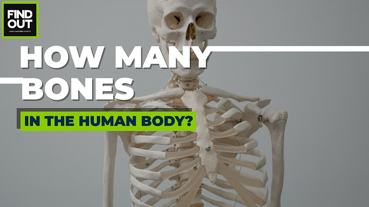 Have a mean bone in ones body nghĩa là gì năm 2024