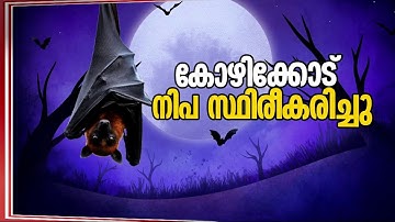 കേരളത്തിൽ വീണ്ടും നിപ; റിസൾട്ട് ലഭ്യമായിട്ടില്ലെന്ന് സംസ്ഥാനം |  Nipah Virus