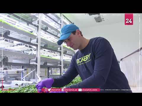 في نيويورك مزارع عمودية تعتمد التكنولوجيا المتطورة