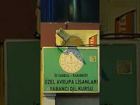 Bakırköy İngilizce Yabancı