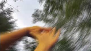 EMAA - Universul rar