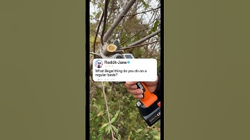 What illegal thing do you do on a regular basis? #shorts #story #reddit