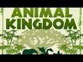 Class-4 |Animal kingdom|#htet #kvs #teachingexam @dailystudypoint0909