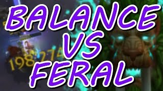 Balance vs Feral Druid (Who Will Do More Damage?)