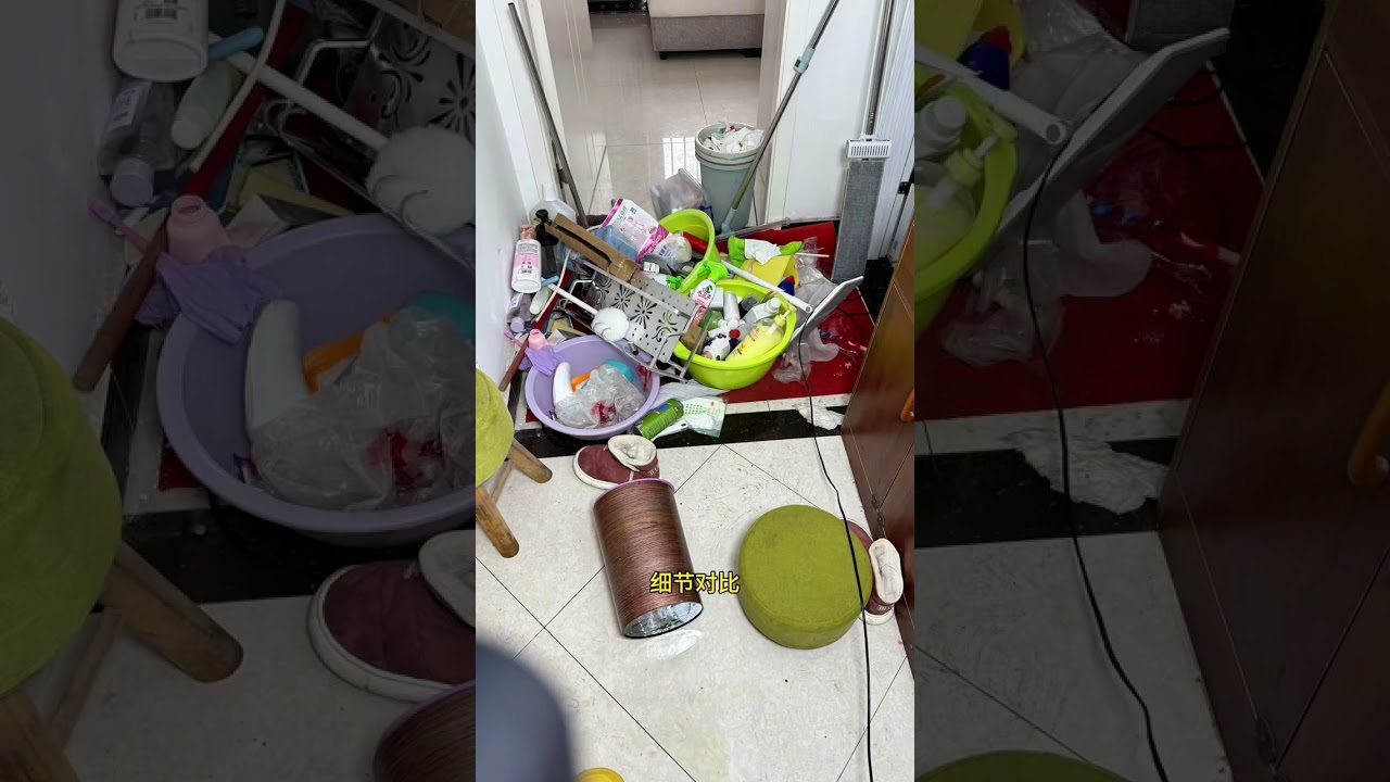 Family Reunion Unbeaten: A Heartwarming One-Shot Show