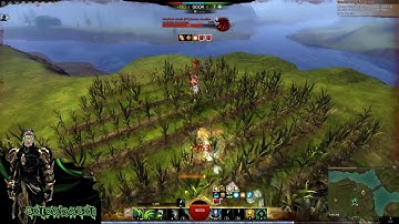 Gw2 Vannila Core Power Necromancer wvw solo roaming -  Back to Basics  REUPLOAD