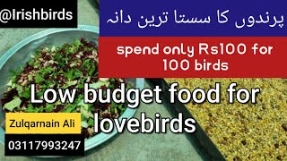 Low budget seed for birds | Sasta Dana | just in Rs100 u can serve more than 100 birds| #irishbirds