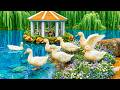🦆 Peaceful Duck Family &amp; Healing Lake Sounds 🌿 Gentle Piano for Deep Sleep &amp; Anxiety Relief 💙
