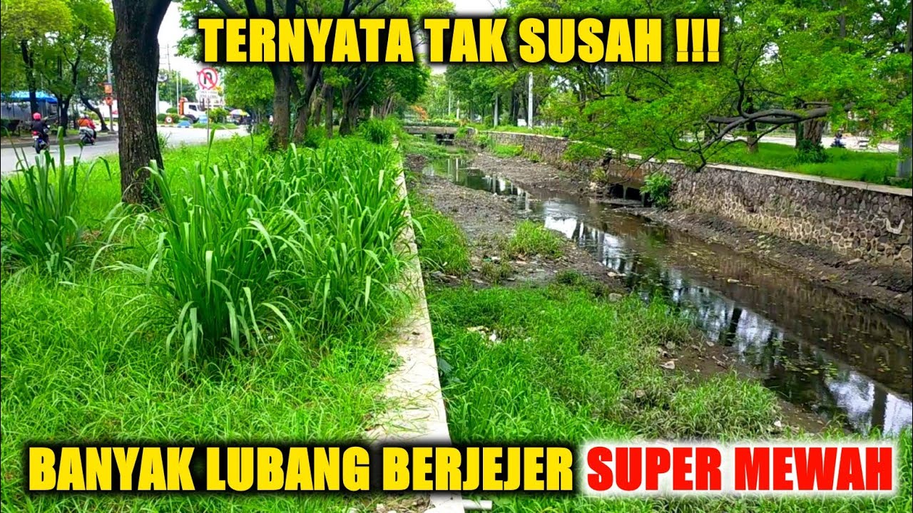 BEGITU MUDAHNYA !!! MANCING BELUT SETELAH SUNGAI SURUT