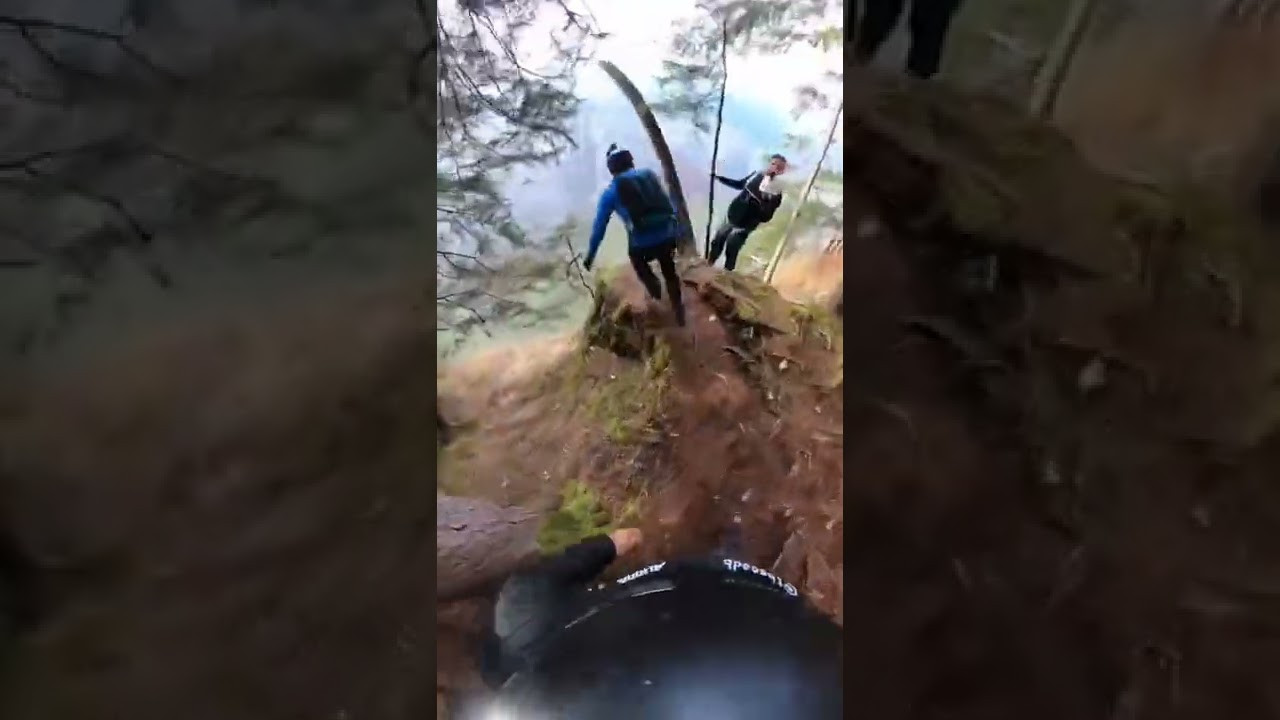 adventure best WhatsApp status 