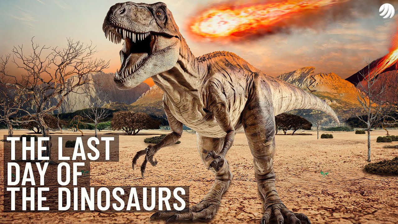 2 Hours of Mind-Blowing Dinosaur Events To Fall Asleep To