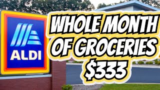 Whole Month of Groceries only spending $333 | Frugal Shopping at Aldi, Walmart & Winco