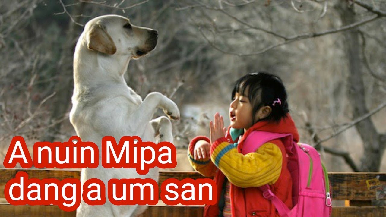 A nuin Mipa dang a um san hnuah,A Uifingin a enkawl/Mizo Movie Recap/Mizo tawnga lehlin Film