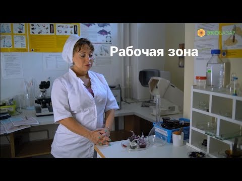 Экспертиза продуктов питания на ЭкоБазаре