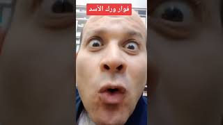 فوار ورك الأسد لعلاج النقرس😭😭