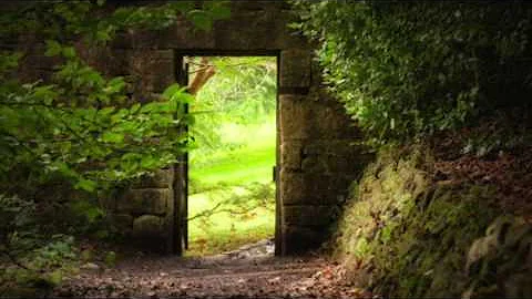 Throne Room Experience (Roland Buck Message)