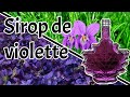 Comment faire du sirop de violette