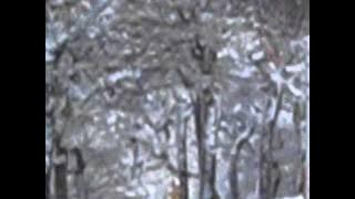 Download lagu Copitos cerro bayo 2010