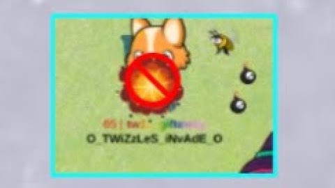 Meow Playground, but if someone bombs me the video ends