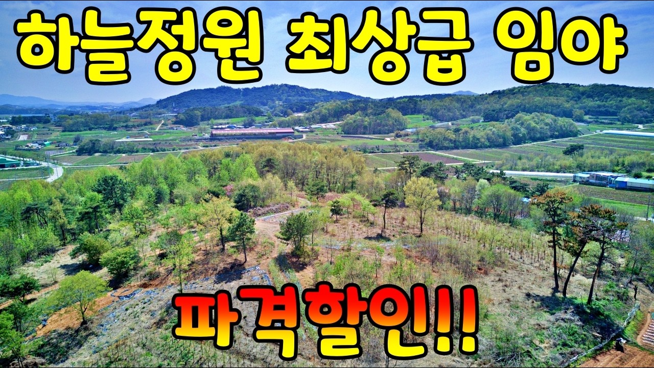 (NO.8697) 전망 좋은 하늘정원 관리지역 관광농원부지 임야 충남 홍성군