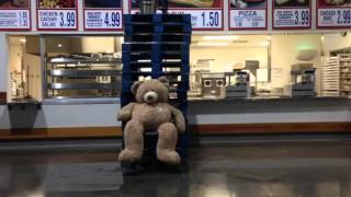 Costco Bear ALS Ice Bucket Challenge