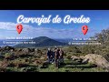 Carvajal de Gredos, el bosque de los dos valles