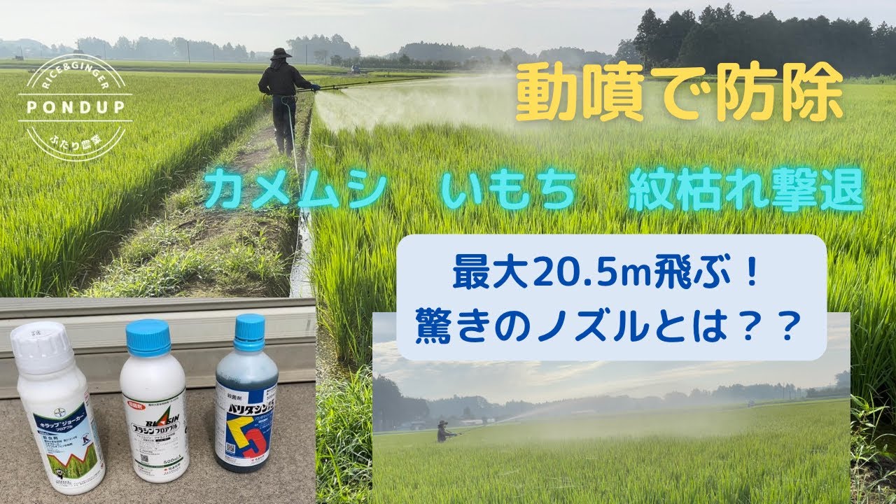 動噴でカメムシいもち紋枯れ撃退！ヤマホ伸縮切替ノズル#カメムシ#防除#ヤマホ