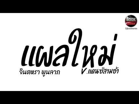 #เพลงฮิตในTikTok ( แผลใหม่ - จินตหรา พูนลาภ ) V.แดนซ์สามช่า Book Remix