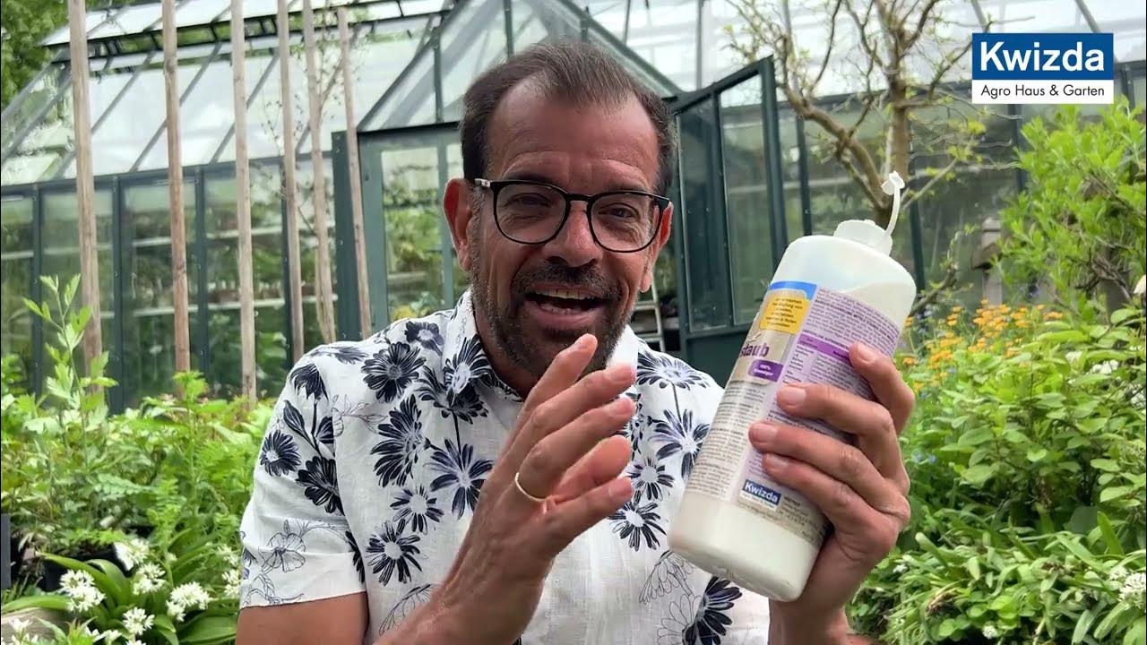 Naturid Aktivstaub Ameisenbekämpfung in Haus und Garten mit Karl