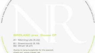 Birdland - What? (Neurhythmics Recordings NR009)