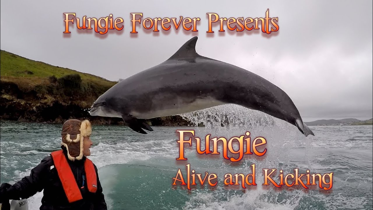FUNGIE FOREVER PRESENTS - ALIVE AND KICKING