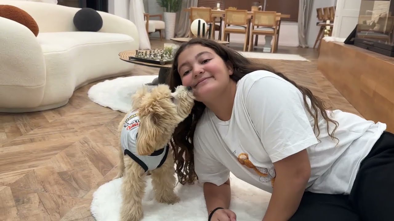 ÖYKÜ İLE KÖPEĞİMİZE ALIŞVERİŞ YAPIYORUZ