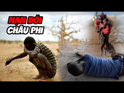 Video: Đói ở Châu Phi