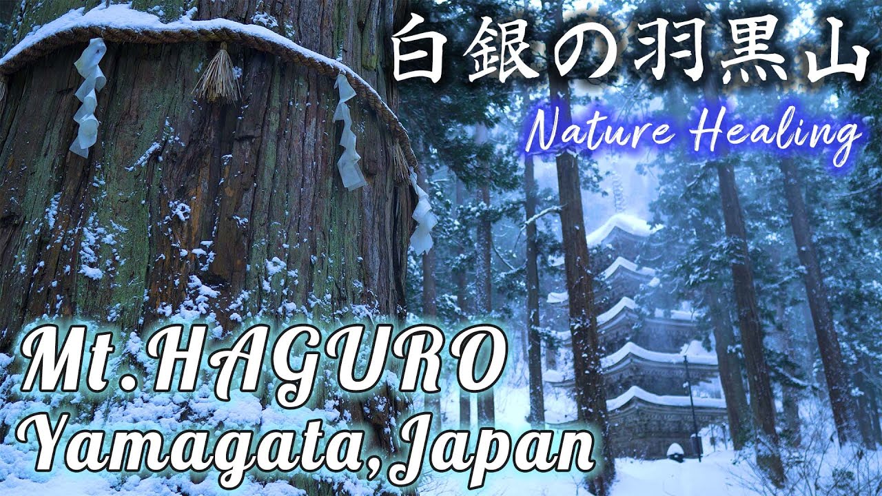 【超癒し森林浴】白銀の羽黒山・随神門～国宝・羽黒山五重塔 4K