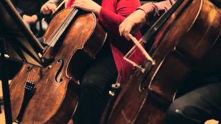 AMERICAN SYMPHONY ORCHESTRA - Leon Botstein interview Profile