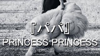 パパ