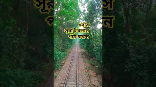 🙏৩বার সূরা ইখলাস  পাঠ করুন 🤲🤲#foryou #shorts #islamic #viralvideo #subscribe 🙏🙏